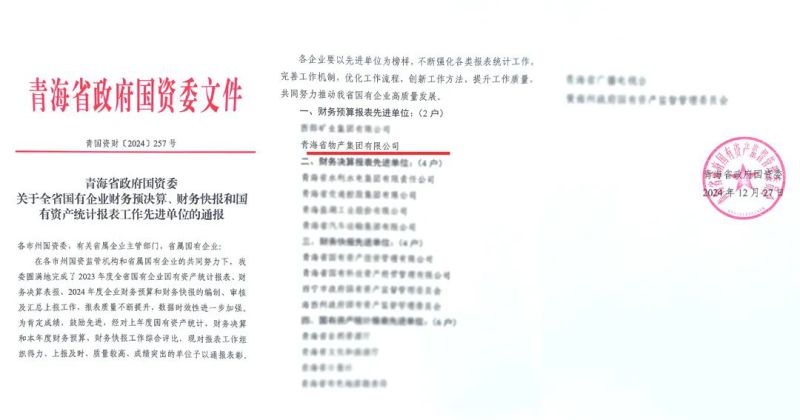 省物產(chǎn)集團(tuán)榮獲省國資委2024年度財(cái)務(wù)預(yù)算報(bào)表工作先進(jìn)單位