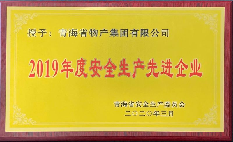 2019年度安全生產先進企業(yè)